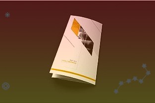 上交所:将中芯国际调出上证沪股通指数样本